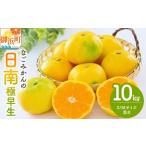 ふるさと納税 果物類 みかん 三重県 御浜町 なごみかんの日南10キロ 数量限定 配送9月中旬から 果物 フルーツ みかん 極早生みかん 極早生 デザート 10kg 三重…