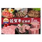 牛肉 ロース 全6回 佐賀牛 定期便 総計6.05kg