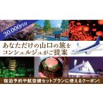 宿泊券 温泉 A055 山口オーダーメイド旅行プラン 30000円分