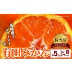 みかん Mサイズ 秀品 箱込 5kg