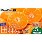果物類 みかん 完熟 アルギット 5kg