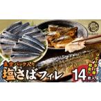 干物 サバ リピーター続出 塩さばフィレ14枚入