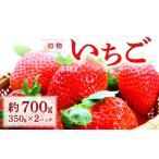 ふるさと納税 いちご 島根県 益田市 初物いちご(350g×2パック) 先行予約 いちご 12月発送 果物 くだもの フルーツ 苺 イチゴ 350g×2パック 初物 冷蔵 期間…
