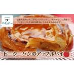 焼菓子 チョコレート アップルパイ りんごを