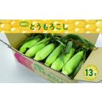 とうもろこし 朝採りとうもろこし13本