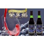 ワイン 酒 ブルーベリーワイン 紫泉郷 しせんきょう 2本