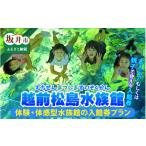 ふるさと納税 福井県 坂井市 【越前松島水族館】 体験・体感型水族館の入館券プラン  [A-11103]