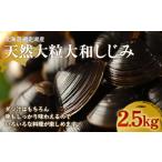 fu.... налог рыба моллюски ... Hokkaido небеса блок тщательно отобранный сеть пробег озеро производство крупный натуральный Yamato ...2.5kg..... налог популярный рекомендация классификация ... корбикула ......si...