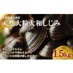 fu.... налог рыба моллюски ... Hokkaido небеса блок тщательно отобранный сеть пробег озеро производство крупный натуральный Yamato ...1.5kg..... налог популярный рекомендация классификация ... корбикула ......si...