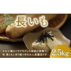 人参 大根 他根菜 産長いも2.5kg 長いも