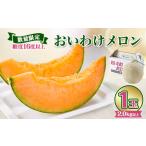 ふるさと納税 メロン メロン赤肉 北海道 安平町 2025年発送 おいわけメロン 糖度16度以上 2.0kg以上×1玉(数量限定) 1102196