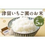 ふるさと納税 米 福岡県 筑後市 津留いちご園のお米 7分づき 農薬・化学肥料不使用(栽培期間中) 5kg 2025年11月上旬から2026年10月下旬順次発送予定 米 お米…