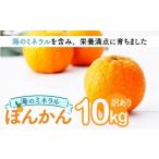 ふるさと納税 みかん・柑橘類 高知県 東洋町 海のミネラルをたっぷり含んだ甲浦のポンカン 10kg〈訳あり〉 国産 東洋町産 訳アリ 甘い 栄養たっぷり ジューシ…