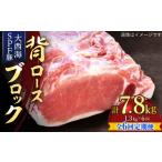 豚肉 ロース 月1回約1.3kg×6回定期便