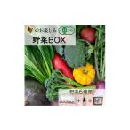 ふるさと納税 セット・詰合せ 京都府 亀岡市 京都・矢田の里 産地直送 旬の有機JAS認定 京野菜・農家のこだわり野菜・新鮮卵など 直売所 お楽しみセット …