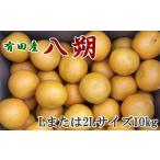 みかん 柑橘類 有田産の八朔10kg Lまたは2Lサイズいずれか…
