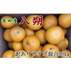 みかん 柑橘類 有田産の八朔10kg サイズ混合