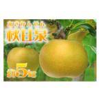 ふるさと納税 梨 鳥取県 米子市 鳥取県産梨「秋甘泉(あきかんせん)」 5kg 先行受付