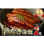 ふるさと納税 鹿児島県 志布志市 くすだ屋の極上うなぎ 2尾(170g×2)＜計340g以上＞ a6-044 2尾セット計340g以上(170g×2)