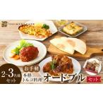 惣菜 レトルト 冷凍 本格トルコ料理 オードブル