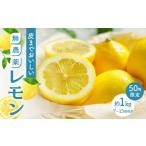 ふるさと納税 みかん・柑橘類 レモン 広島県 尾道市  月間50箱限定 皮まで美味しい無農薬レモン 約1kg 瀬戸田 瀬戸田レモン 檸檬 瀬戸内レモン フルーツ 柑橘 …
