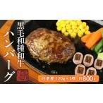 白老産 黒毛和牛ハンバーグ