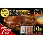 ショッピングハンバーグ ふるさと納税 北海道 白老町 牛の里ビーフハンバーグ（110g×10個）特製ソース（10袋）の詰合せ