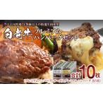 白老牛プレミアムハンバーグセット 10枚