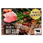 牛肉 ヒレ 亀岡牛 特選 サーロインステーキ 250g×3枚