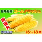 ショッピングとうもろこし ふるさと納税 鹿児島県 西之表市 種子島 産 朝どれ とうもろこし (15〜18本)　NFN319【375pt】