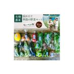 セット 詰合せ 有機農家の採れたて季節野菜のセット