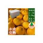 ショッピングふるさと納税 訳あり 傷 ふるさと納税 みかん・柑橘類 和歌山県 有田川町 家庭用 5.5kg 訳あり 傷多め 4月 まで 木成 完熟 させた 有田 はっさく L または M サイズ 茶箱 南泰園 みか…