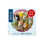 加工品等 漬物 大和漬物 浅漬け 10個詰合せ