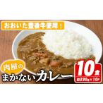 牛肉 カレー シチュー 肉屋のまかない豊後牛カレー 計2.3kg