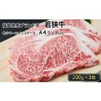 若狭牛サーロインステーキ 200g×3枚