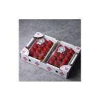 ふるさと納税 いちご 宮城県 山元町 (農場直送)ミガキイチゴ・シルバー(320g×2パック) 1125796