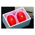 ショッピングふるさと納税 マンゴー ふるさと納税 マンゴー 宮崎県 串間市 KU020 先行予約・数量限定 完熟マンゴー・赤秀(1kg・2〜3玉) 串間市大束農業協同組合