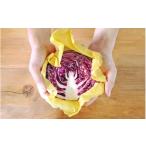 aco wrap みつろう色×あお色 藍泥染め