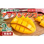 ふるさと納税 マンゴー 沖縄県 八重瀬町 先行受付 2025年発送 生産組合が育てるアップルマンゴー約2kg(家庭用)- 先行予約 沖縄県産 産地直送 南国フルーツ …