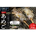 旬の鮮魚等 予約受付 子どもが喜ぶバーベキュー