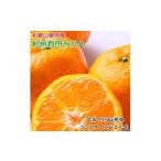 ふるさと納税 果物類 みかん 和歌山県 美浜町  訳あり 和歌山有田みかん約10kg（S〜Lサイズいずれかお届け） ｜ 訳ありみかん 有田みかん みかん和歌山 みかん…