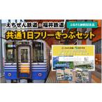 えちぜん鉄道 記念品共通1日フリーきっぷセット