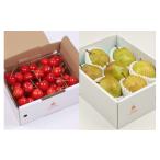 ふるさと納税 果物類 さくらんぼ 山形県 天童市 08-03-026 山形日本一くだものプラン 全2回