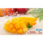 ふるさと納税 マンゴー 福岡県 朝倉市 マンゴー 朝倉産 約300g×2個 配送不可 離島