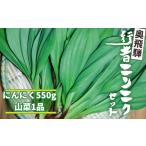 野菜類 山菜 2027年4月下旬~ 内容量