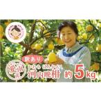 ふるさと納税 みかん�