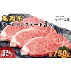 京都いづつ屋厳選 亀岡牛 サーロインステーキ 750g