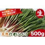 fu.... налог овощи вид дикоросы Hokkaido . тент блок предшествующий предварительный заказ натуральный сырой line человек чеснок 500g {4 месяц последняя декада примерно из последовательный отправка ( суббота, воскресенье и праздничные дни за исключением )} Hokkaido . тент блок дикоросы редкий вид человек чеснок иллюзия...