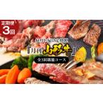 牛肉 ヒレ 定期便3回 月刊山形牛 毎月お届け定期便