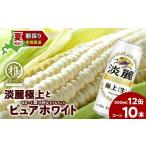 ふるさと納税 ビール �